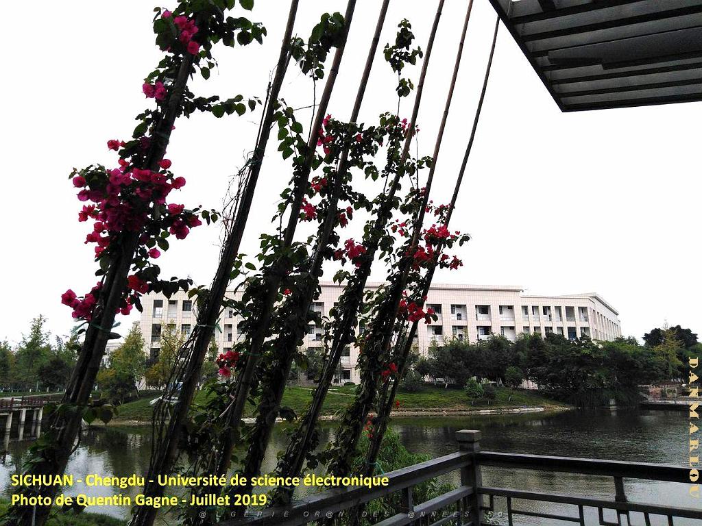 Chengdu- Universite Science electronique 083.jpg